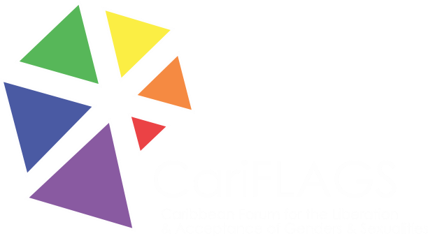 carfilags logo in white